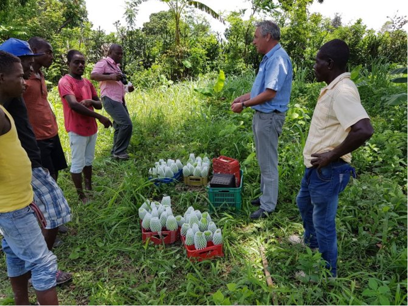 世界银行：区块链将如何提升海地果农的地位